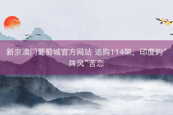 新京澳门葡萄城官方网站 追购114架，印度的“阵风”苦恋