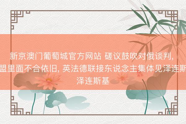 新京澳门葡萄城官方网站 磋议鼓吹对俄谈判， 欧盟里面不合依旧， 英法德联接东说念主集体见泽连斯基