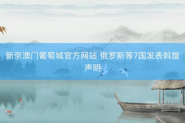 新京澳门葡萄城官方网站 俄罗斯等7国发表斡旋声明