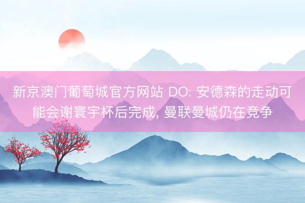 新京澳门葡萄城官方网站 DO: 安德森的走动可能会谢寰宇杯后完成， 曼联曼城仍在竞争