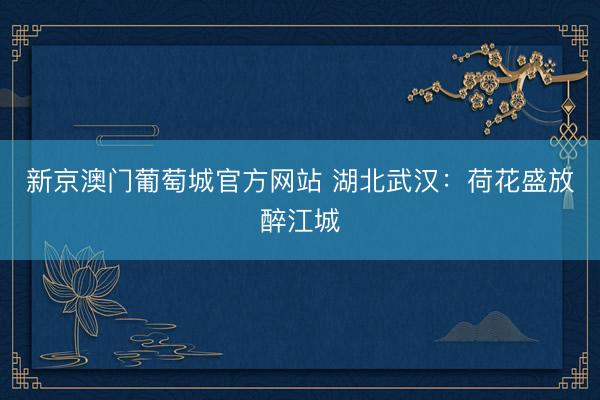 新京澳门葡萄城官方网站 湖北武汉：荷花盛放醉江城