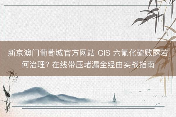 新京澳门葡萄城官方网站 GIS 六氟化硫败露若何治理? 在线带压堵漏全经由实战指南