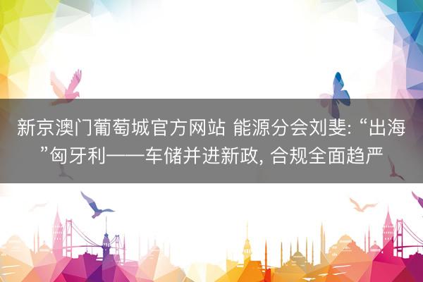 新京澳门葡萄城官方网站 能源分会刘斐: “出海”匈牙利——车储并进新政， 合规全面趋严