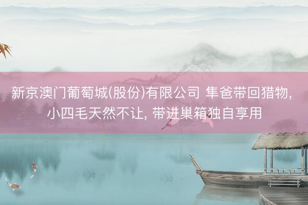 新京澳门葡萄城(股份)有限公司 隼爸带回猎物， 小四毛天然不让， 带进巢箱独自享用