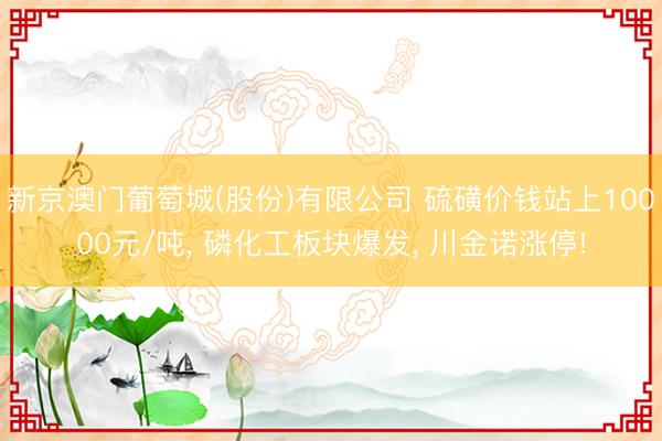 新京澳门葡萄城(股份)有限公司 硫磺价钱站上10000元/吨， 磷化工板块爆发， 川金诺涨停!