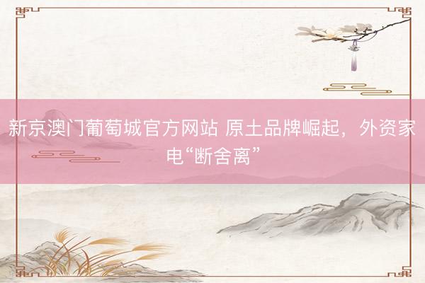 新京澳门葡萄城官方网站 原土品牌崛起，外资家电“断舍离”